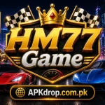 HM77 Game